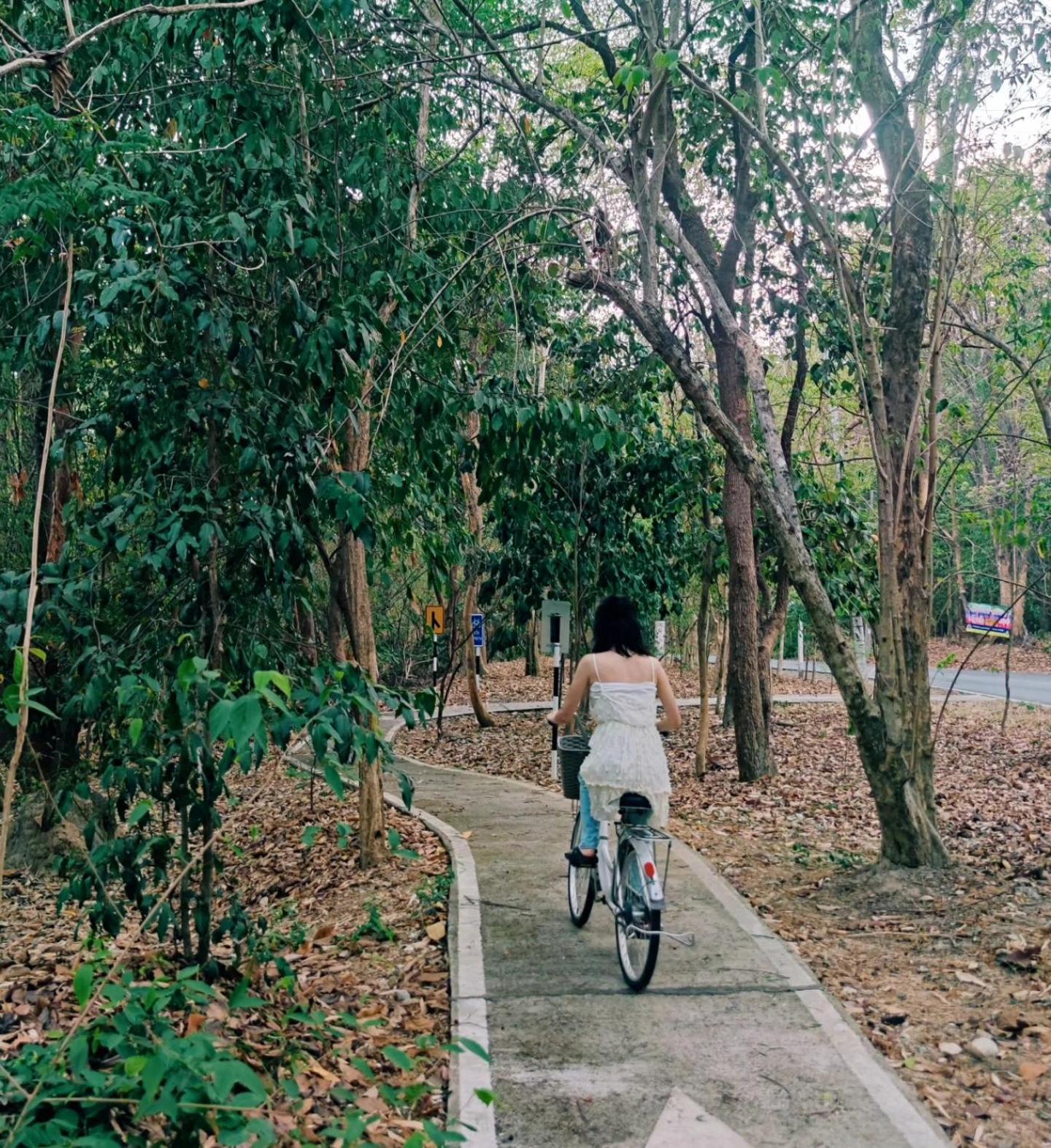 Foresta Villa Hang Dong Esterno foto