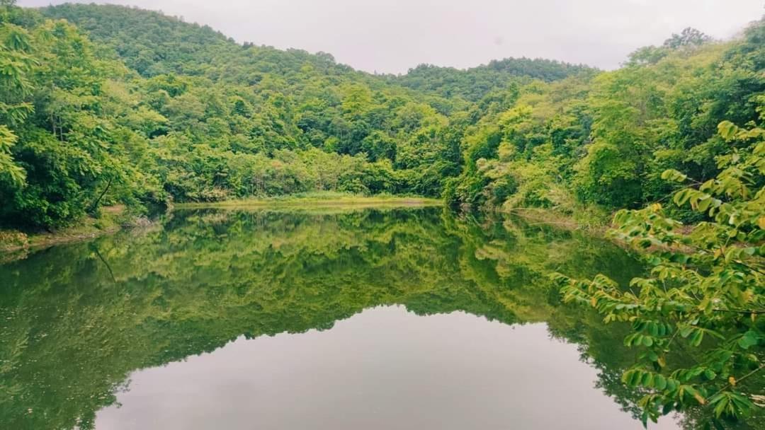 Foresta Villa Hang Dong Esterno foto