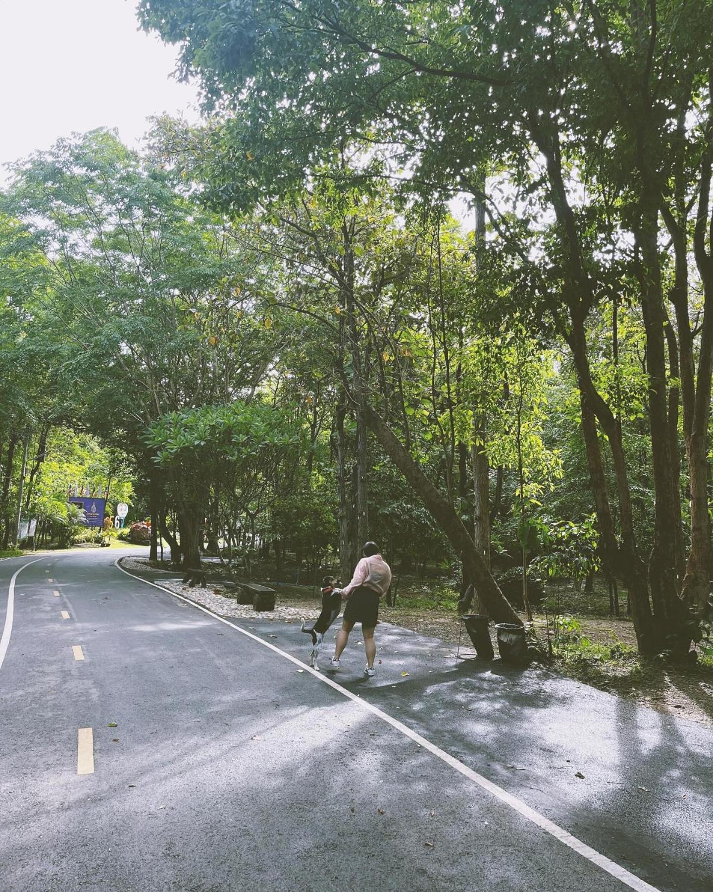 Foresta Villa Hang Dong Esterno foto