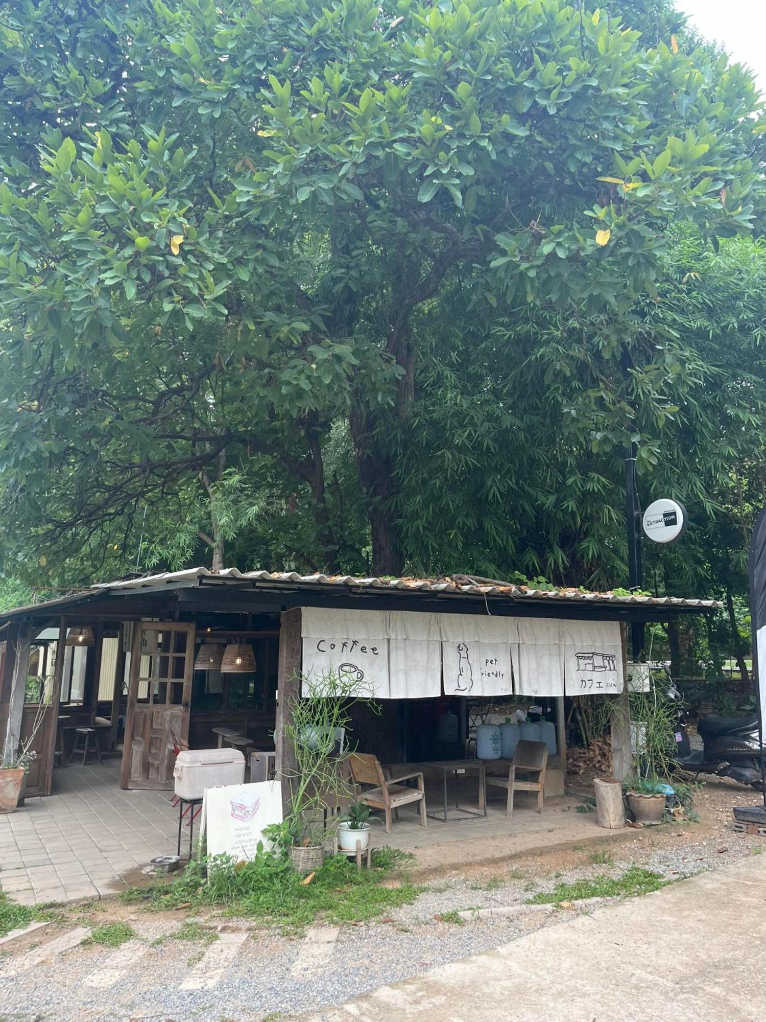 Foresta Villa Hang Dong Esterno foto