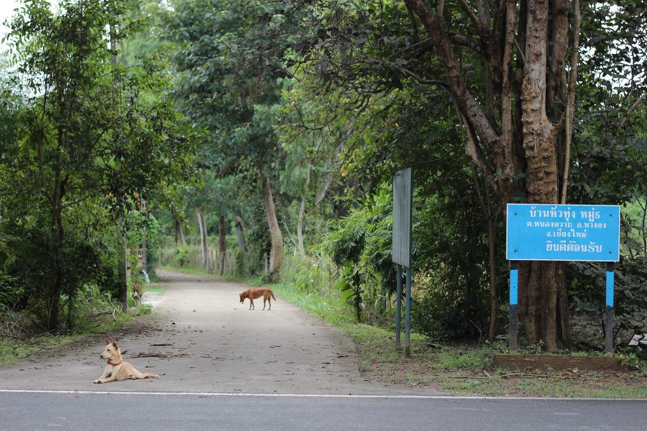 Foresta Villa Hang Dong Esterno foto