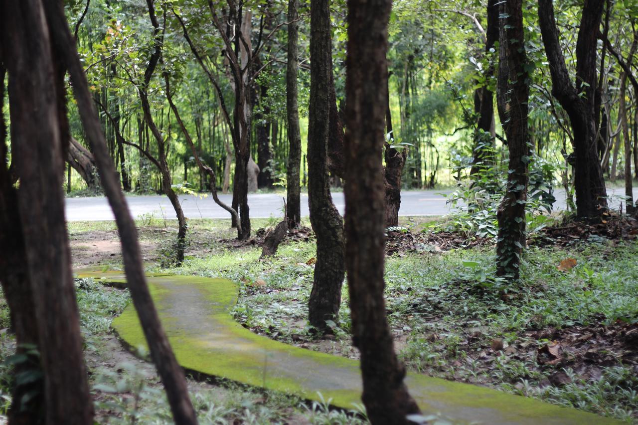 Foresta Villa Hang Dong Esterno foto